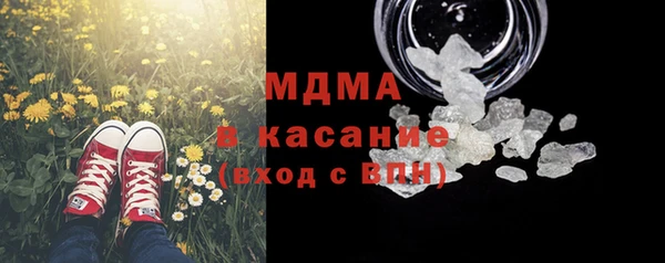 сатива Новозыбков