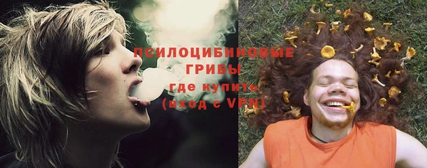 прущая мука Алексеевка