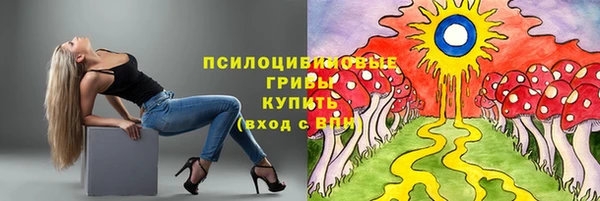 героин Алексин