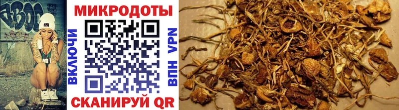 это какой сайт  Николаевск  Псилоцибиновые грибы Psilocybe 